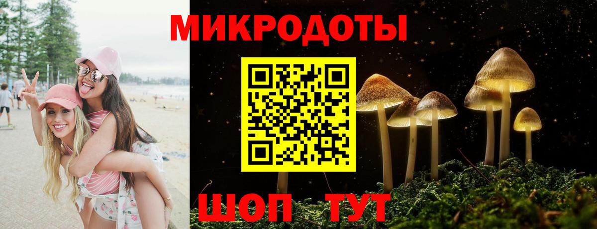Ейск  Псилоцибиновые грибы прущие грибы  Вход с VPN 